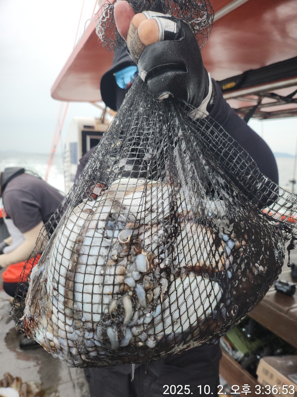 [영흥도아라2호] 10월 2일 조황