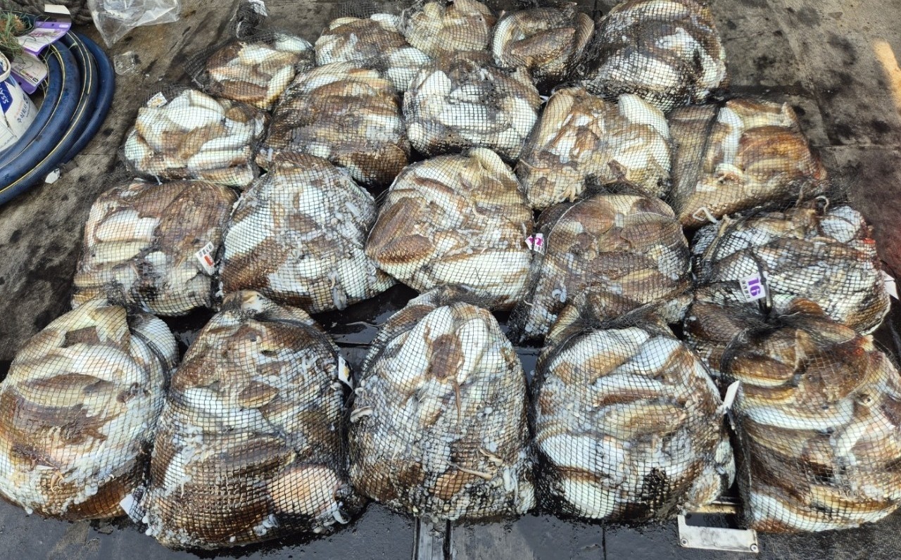 [영흥도아라2호]10월 29일 조황