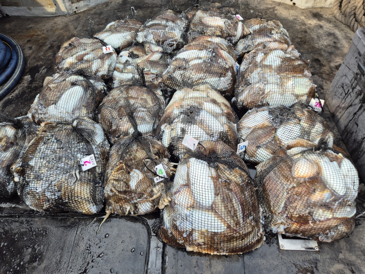 [영흥도아라2호] 10월 30일 조황