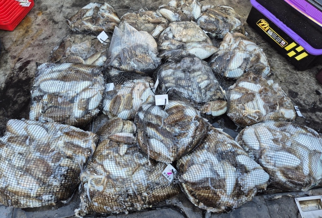 [영흥도아라2호] 10월 5일 조황