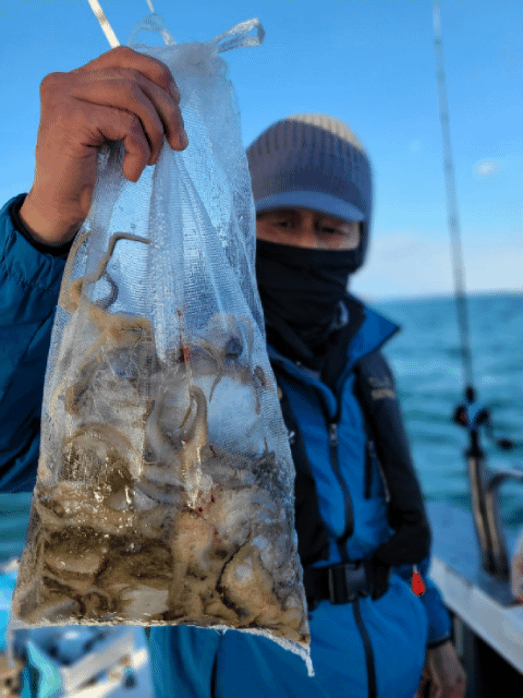 [영흥도아라3호] 11월 21일 조황