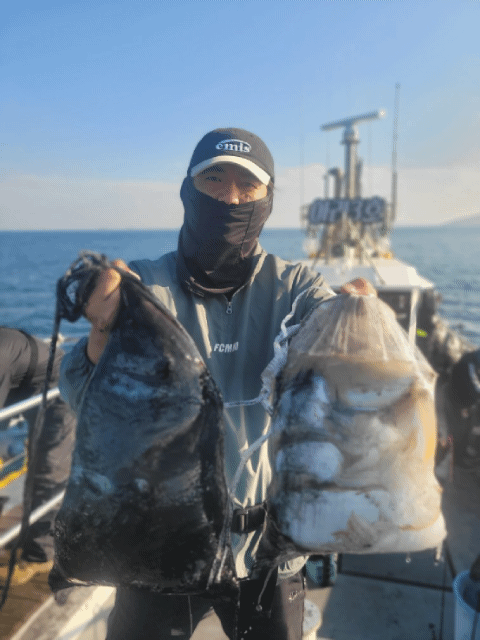 [영흥도아라3호]11월 12일 조황