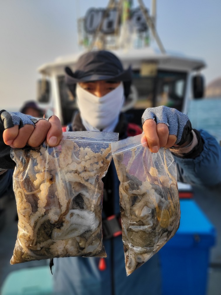 [영흥도아라3호] 11월 24일 조황