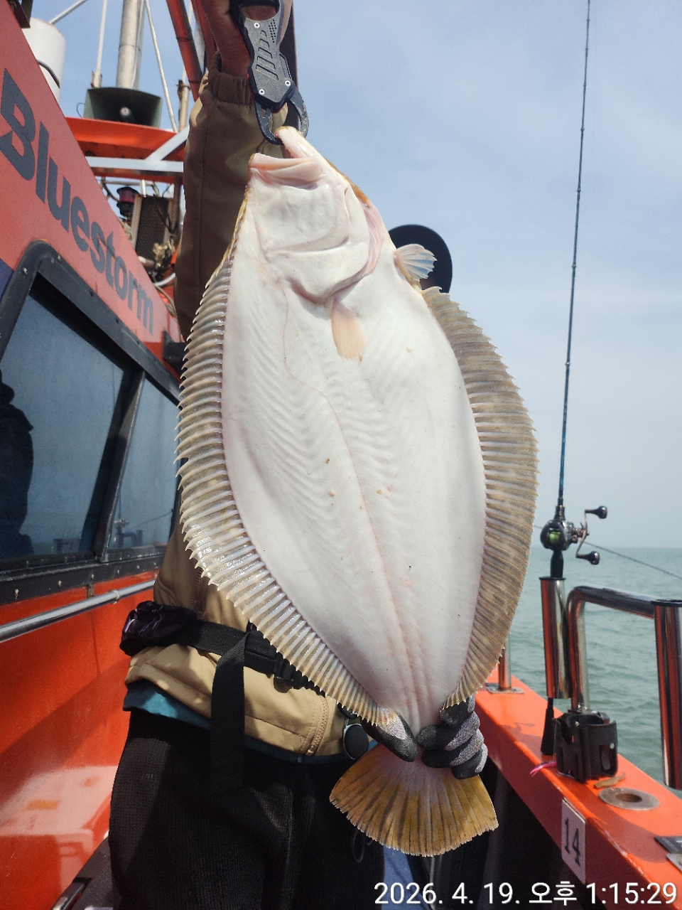[영흥도아라2호] 4월 19일 16인출조