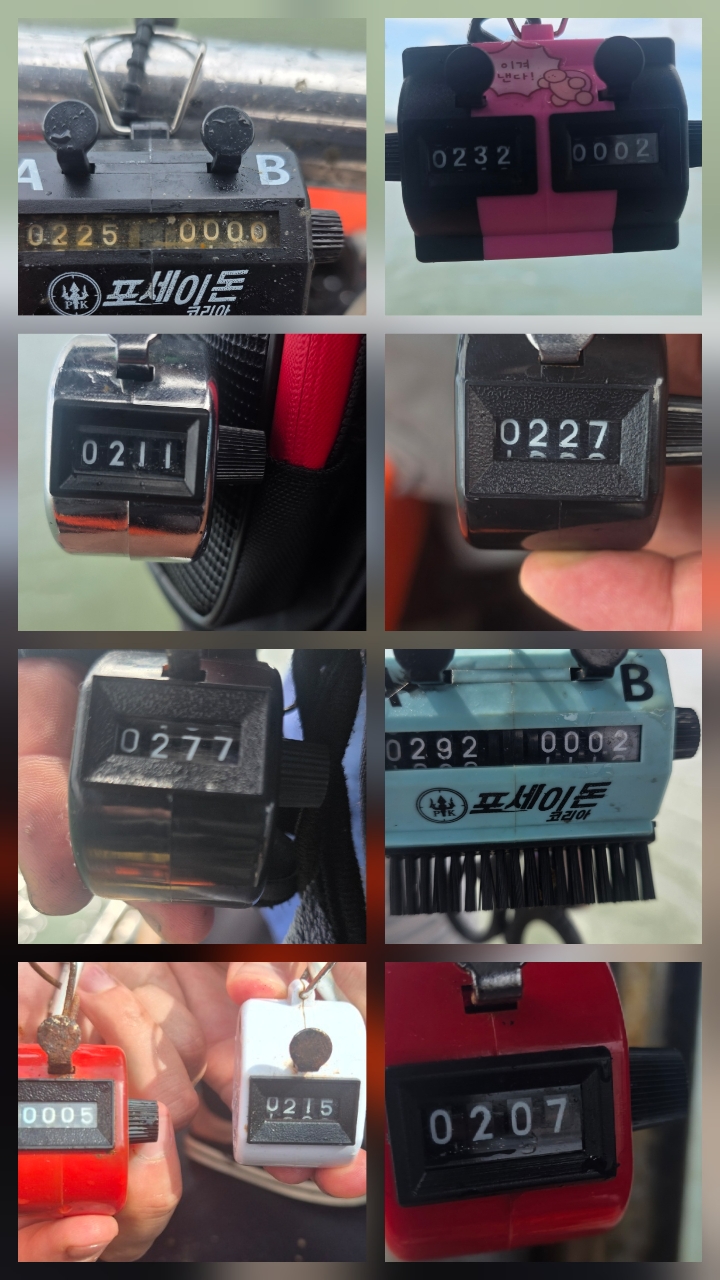 영흥도아라2호 9월 2일 조황