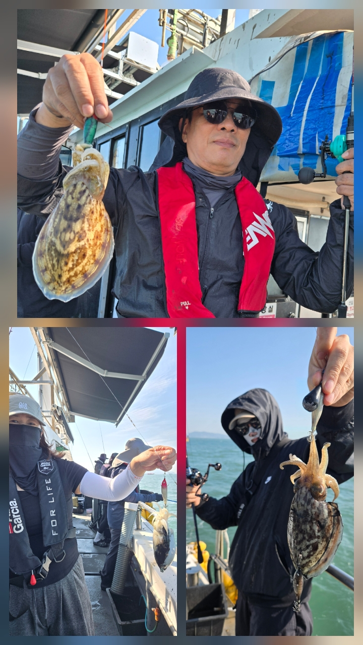 영흥도아라3호 10월 11일 조황